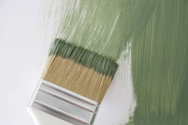 Best Mold Prevention Services  in Bellmawr, NJ