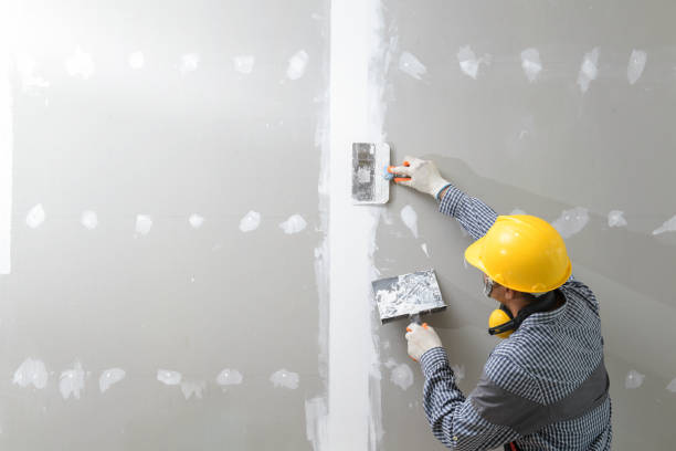Best Post-Construction Mold Inspection  in Bellmawr, NJ