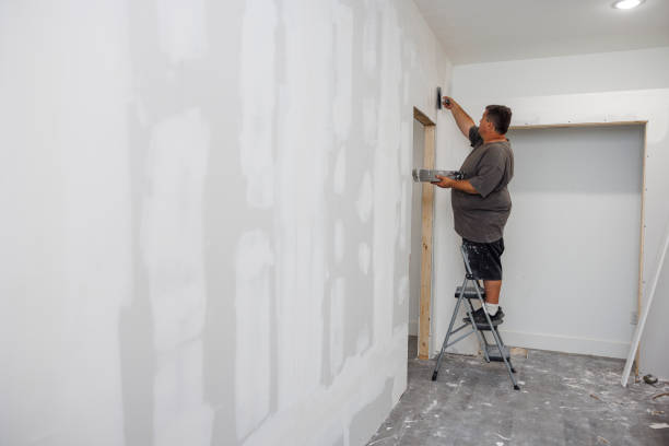 Best Airborne Mold Testing  in Bellmawr, NJ
