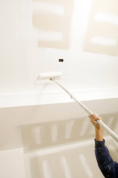 Best Biohazard Mold Removal  in Bellmawr, NJ