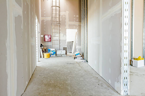 Best Water Damage & Mold Remediation  in Bellmawr, NJ