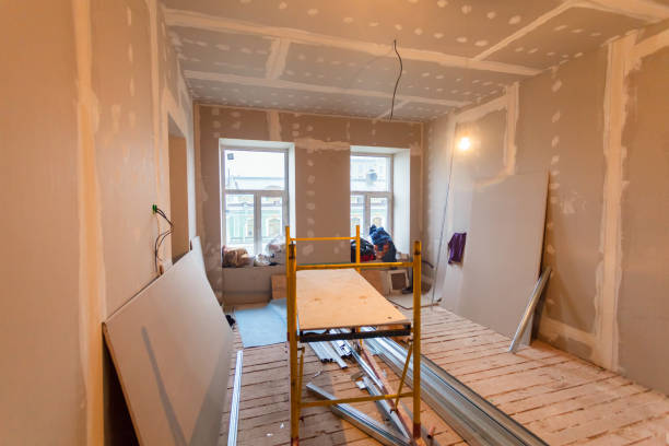  Bellmawr, NJ Mold Removal Pros